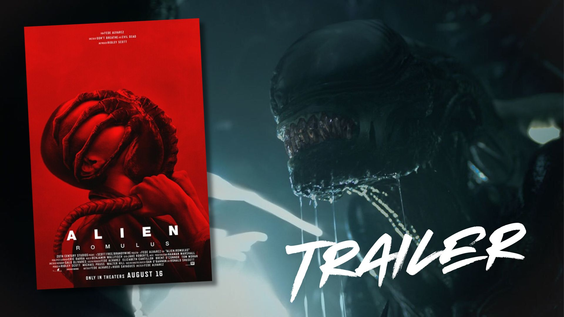 Alien: Romulus : un nouveau un trailer qui fait monter la hype !