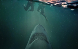 Deep Water