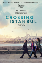 Crossing Istanbul
