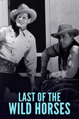 last of the wild horses