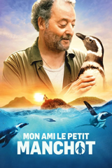 mon ami le petit manchot