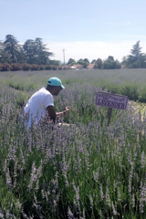 the forfeiture clause