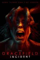 the gracefield incident