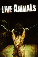 live animals