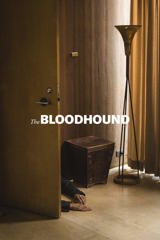 the bloodhound