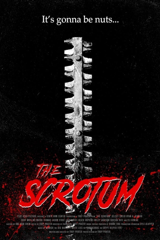 the scrotum