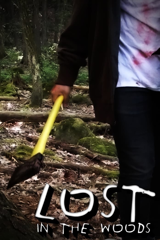 lost in the woods