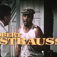 Robert Strauss