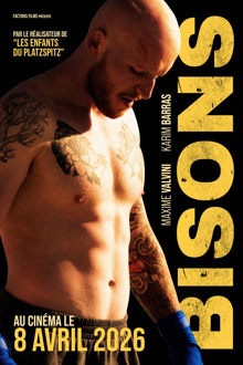Bisons