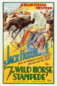 the wild horse stampede