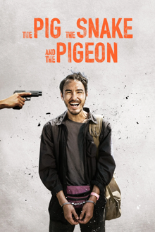 the pig, the snake and the pigeon