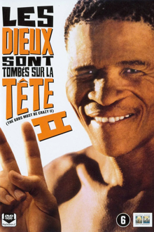 les dieux sont tombés sur la tête 2