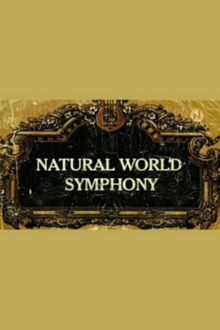 symphony