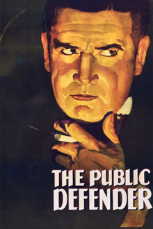 the public defender