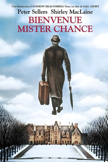 Bienvenue Mister Chance