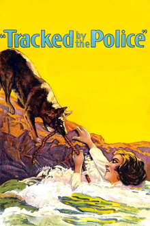 tracked by the police