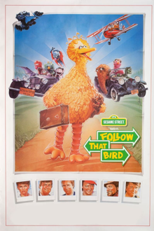 follow that bird