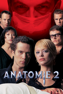 anatomie 2