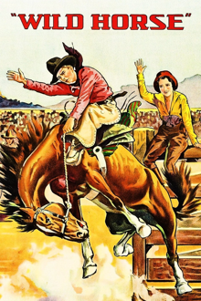 wild horse