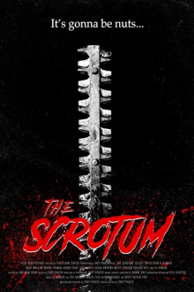 the scrotum