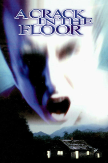 a crack in the floor