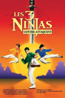 ninja kids 2 : les 3 ninjas contre-attaquent