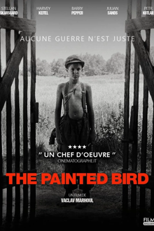 the painted bird
