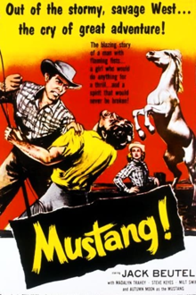 mustang!