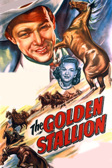 the golden stallion
