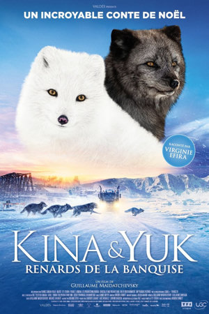 Kina et Yuk : Renards de la banquise