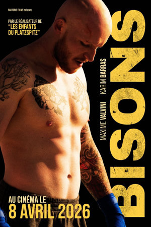 Bisons