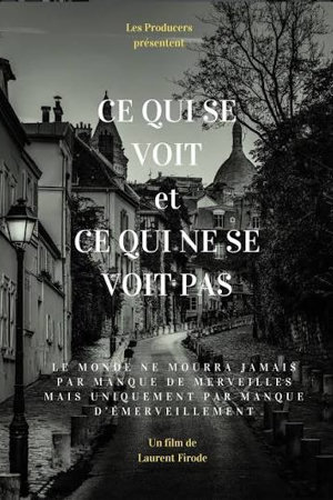 Ce qui se voit et ce qui ne se voit pas