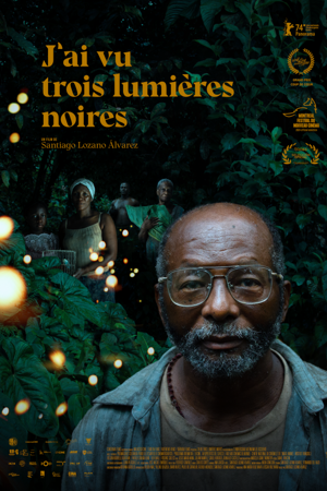 J'ai vu trois lumières noires