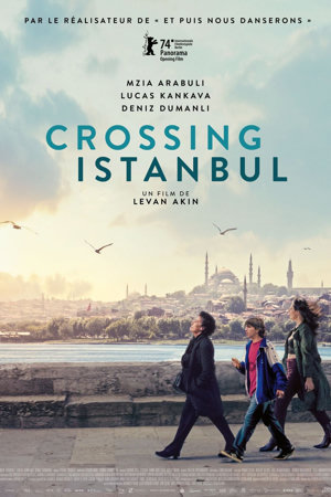 Crossing Istanbul