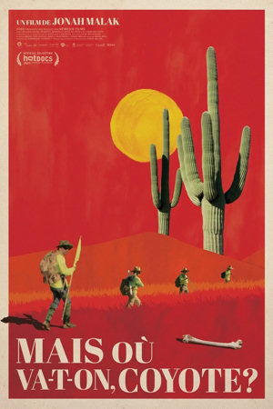 Mais où va-t-on, coyote?