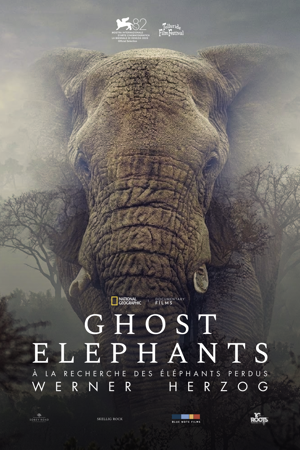 Ghost Elephants