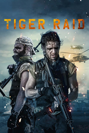 tiger raid