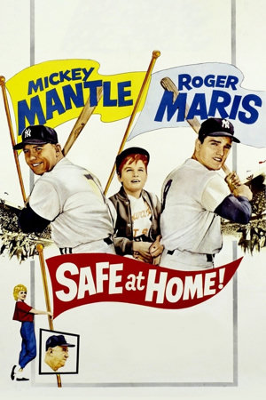 safe at home!