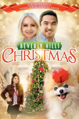 beverly hills christmas