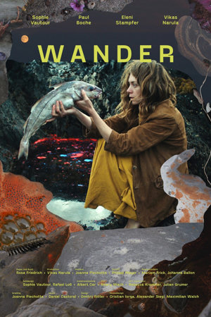 wander