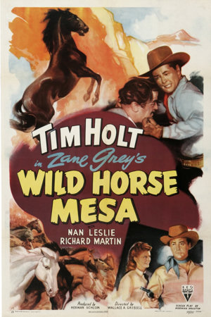 wild horse mesa
