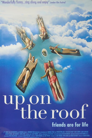 up on the roof