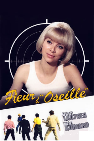 fleur d'oseille