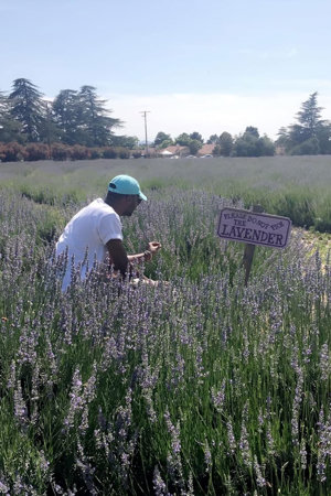 the forfeiture clause