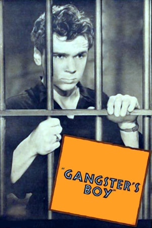gangster's boy