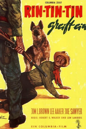 the challenge of rin tin tin