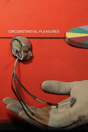 circumstantial pleasures