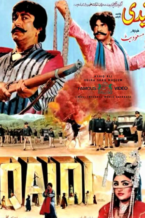qaidi