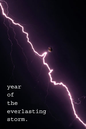 the year of the everlasting storm