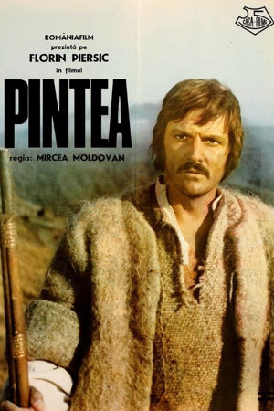 pintea